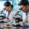 Profesionales analizando muestras de alimentos con microscopio en laboratorio de microbiología aplicada a alimentos.