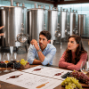 Producción de vino en bodega chilena, con estudiantes observando el proceso de vinificación de tintos y blancos junto a un instructor, tanques de acero, barricas y uvas frescas.